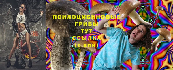 бутират Нязепетровск