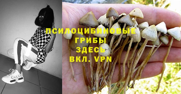 ПСИЛОЦИБИНОВЫЕ ГРИБЫ Нягань