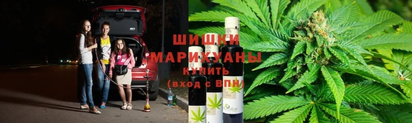 ПСИЛОЦИБИНОВЫЕ ГРИБЫ Нягань