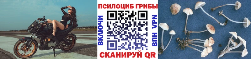 Галлюциногенные грибы прущие грибы Азнакаево