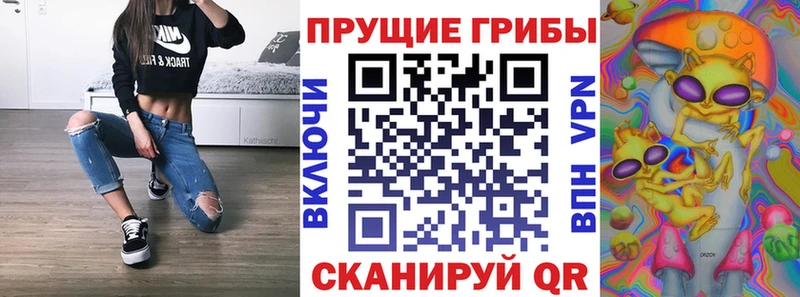 где купить наркотик  Азнакаево  Галлюциногенные грибы Psilocybe 