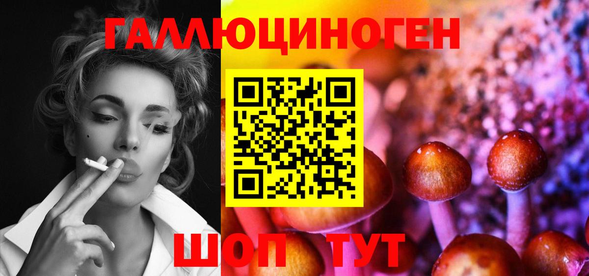 Азнакаево  Псилоцибиновые грибы GOLDEN TEACHER  Вход с VPN 